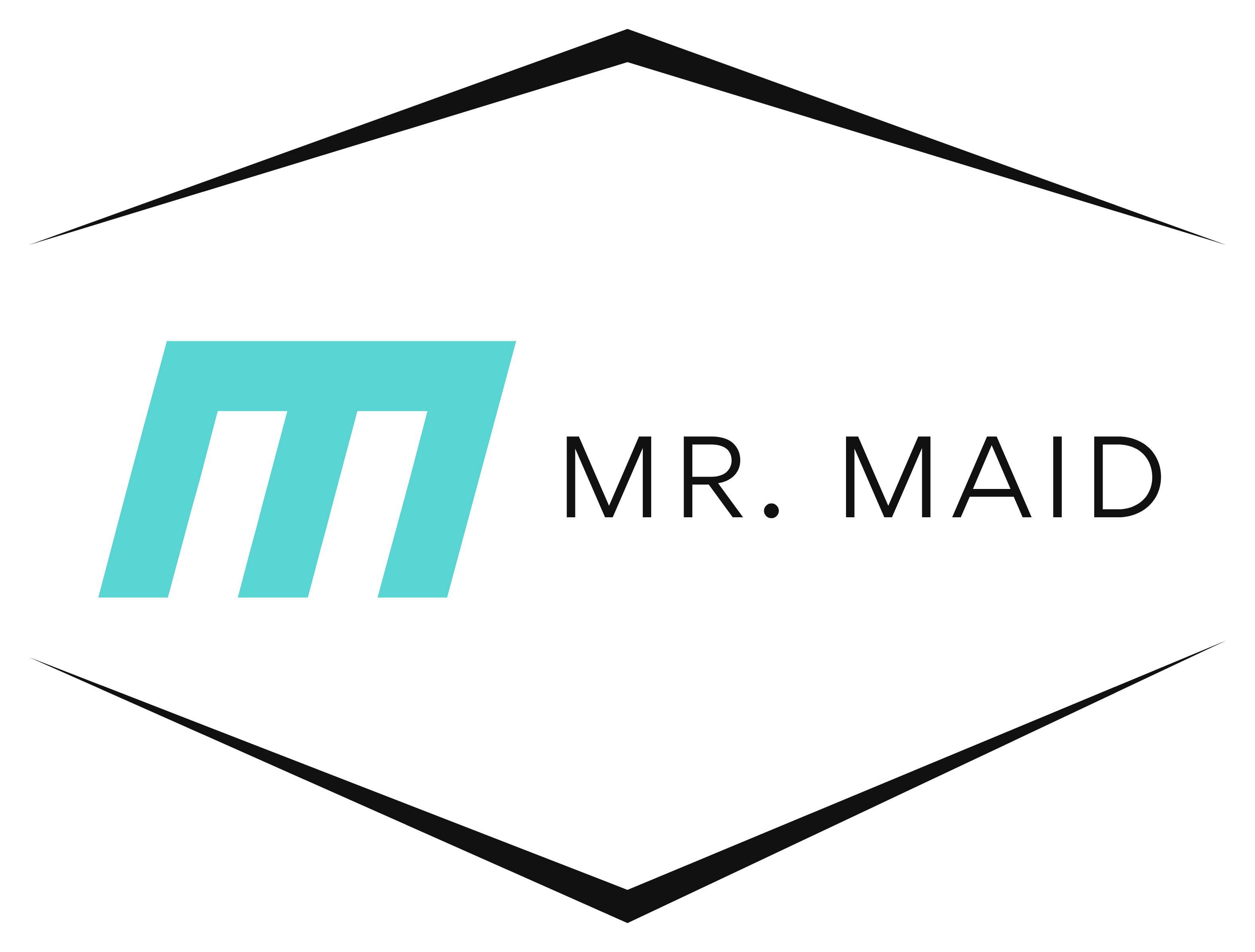 Mr. Maid - Cleaning Services in Southern Manitoba